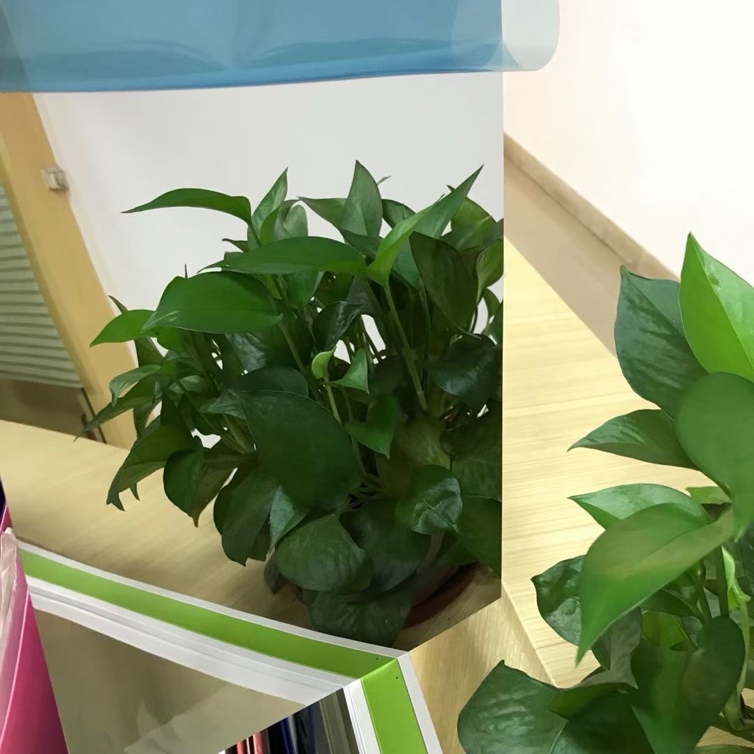 24小时客服超高清镜面板售后服务