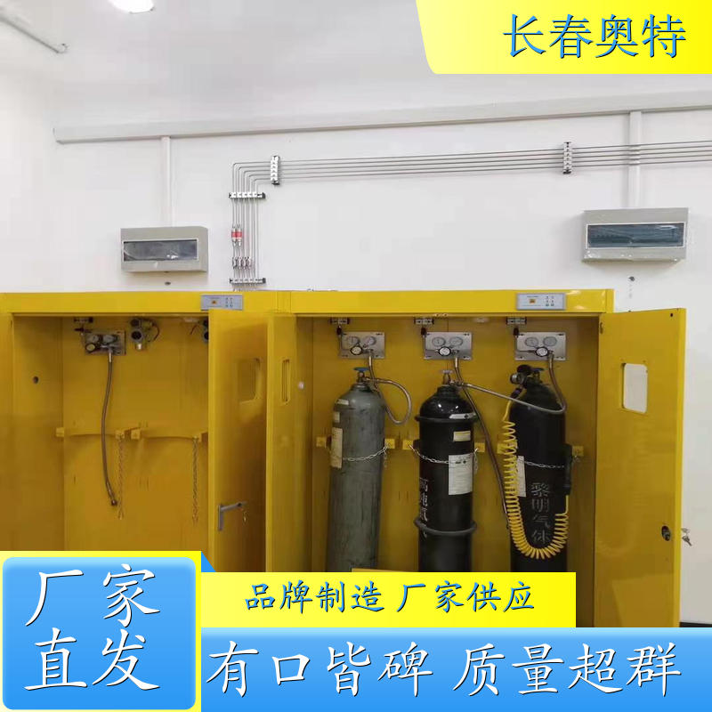 长春奥特 超纯气体管路 半自动切换 规模生产 支持定制 多少钱