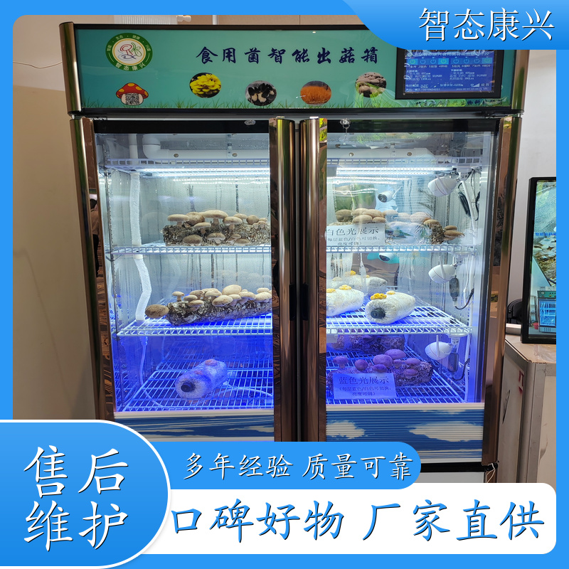 智态康兴 ZTKX-CG-1200 食用菌智能出菇箱 物美价廉 物超所值 手机远程管理 定做