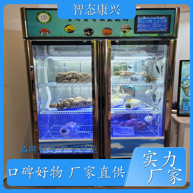 智态康兴 ZTKX-CG-1200 食用菌智能出菇箱 做工细致 质量保障 手机端电脑端 厂家