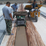 山东生产500×30水泥板成型机 单条板机 结构简单合理