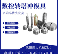 远大厂家直销数控转塔标准冲床模具系列 A工位上下模具质量好