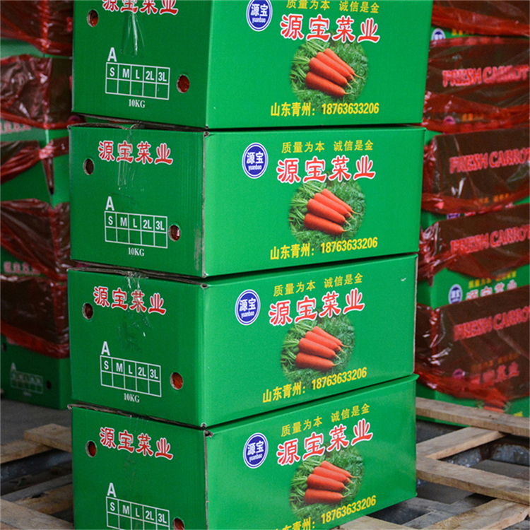昌乐装箱胡萝卜加工 装箱胡萝卜大量发售