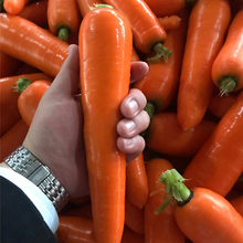 批售水洗胡萝卜 常年出售 水洗胡萝卜批发商