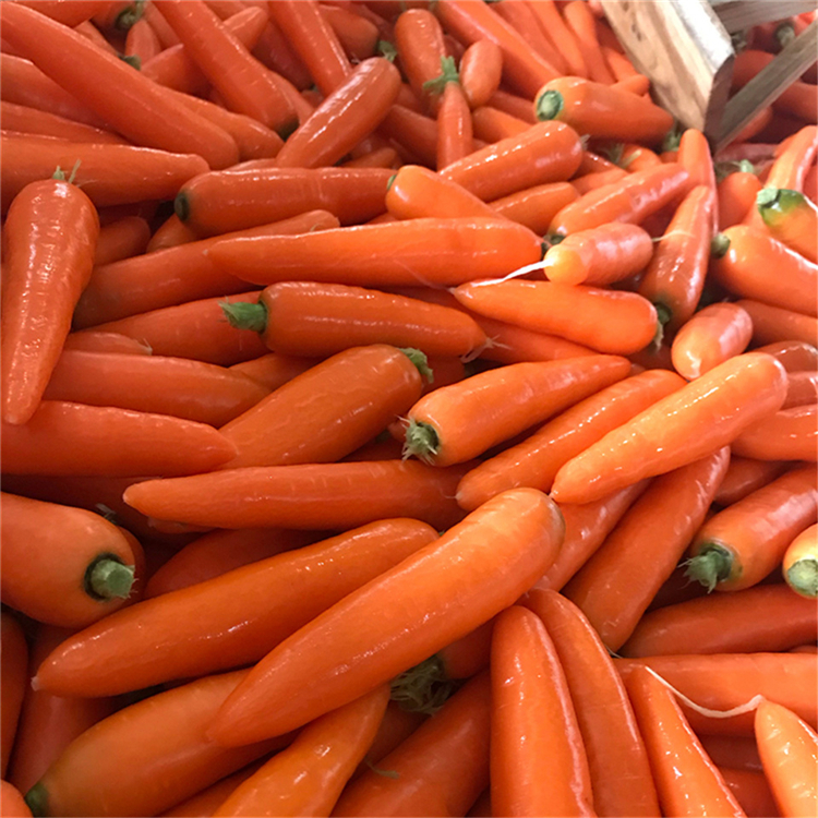 淄博水洗胡萝卜 常年出售 水洗胡萝卜供应