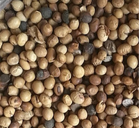 肥料大豆 砂糖橘种植肥 受损大豆 现货供应