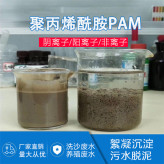 养殖废水 聚丙烯酰胺PAM 工业级PAM 絮凝剂