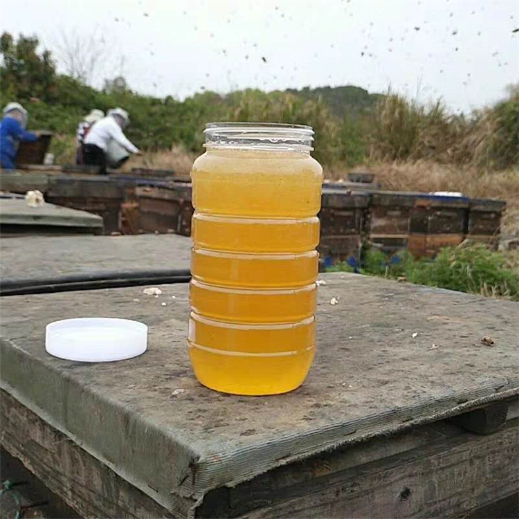蜂蜜出售 厂家直销 江苏真蜂蜜