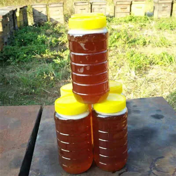 蜂蜜代理价 优良好蜂蜜 浙江纯蜂蜜