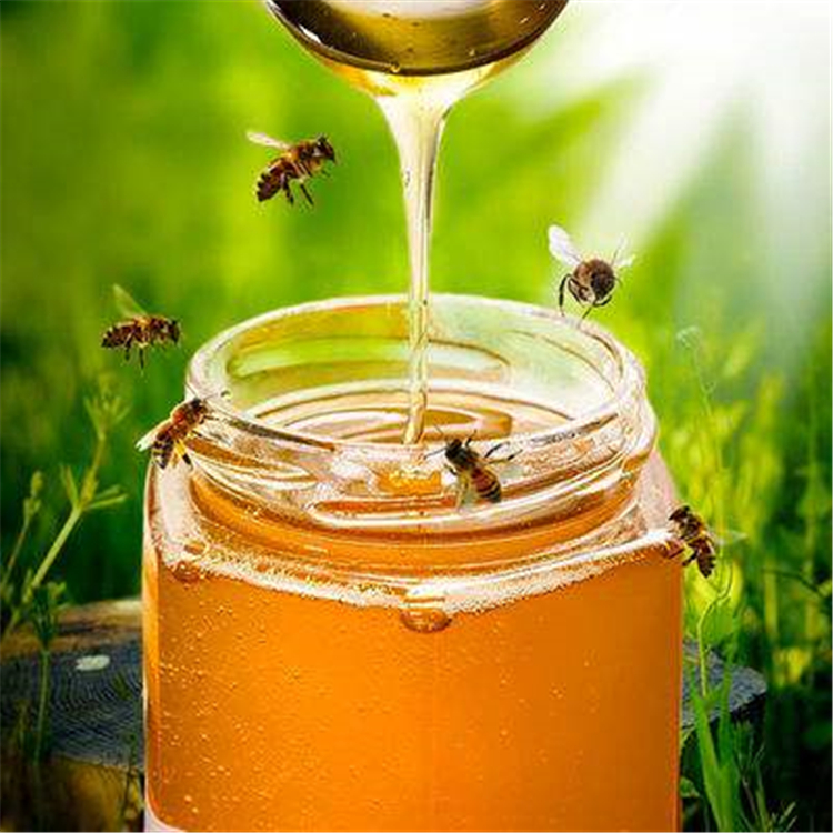 蜂蜜加盟商 欢迎咨询订购 辽宁真蜂蜜