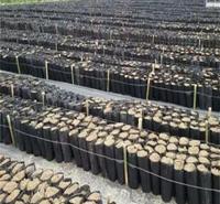 成都蓝莓种植腐殖土 成都蓝莓种植腐殖土批发 厂家直销欢迎致电