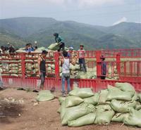 厂家直销 蓝莓种植营养土 成都泥炭土销售 欢迎致电