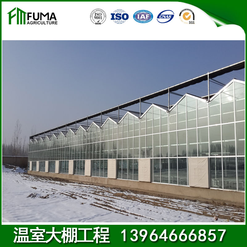 蔬菜大棚建设 欢迎来电询价钢管大棚 花卉大棚