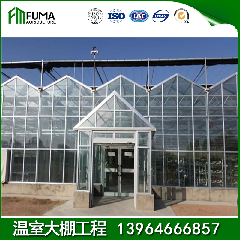 花卉大棚温室建设 日光温室_承建设计安装