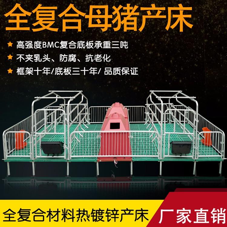 母猪专用产床 凯程供应批发
