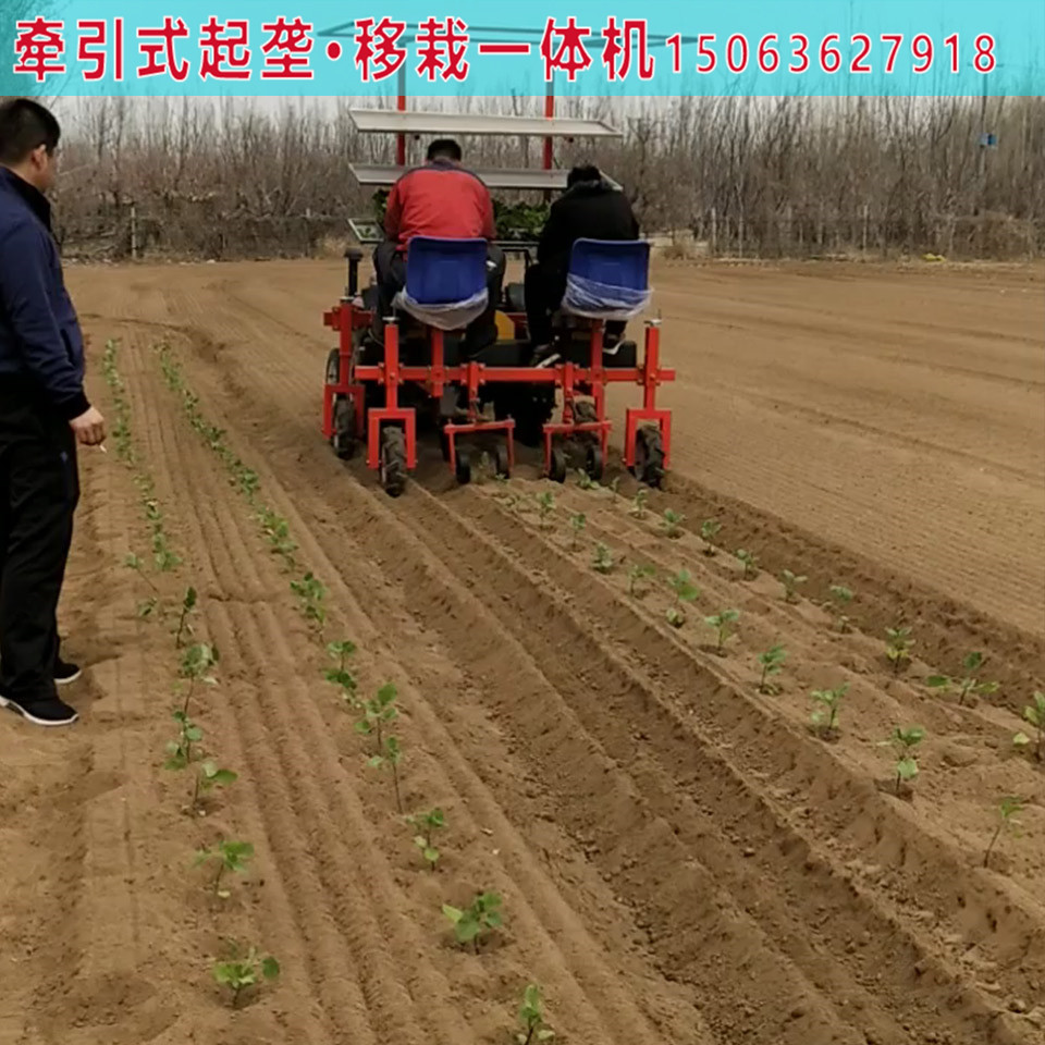 河北蔬菜移栽机  甜菜移栽机行情 牵引式蔬菜移栽机_八行移栽机