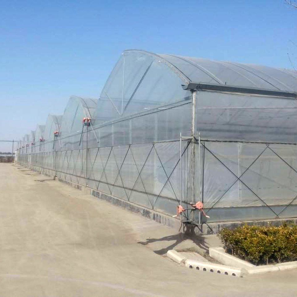 薄膜大棚造价 花卉温室大棚_观光温室大棚建设