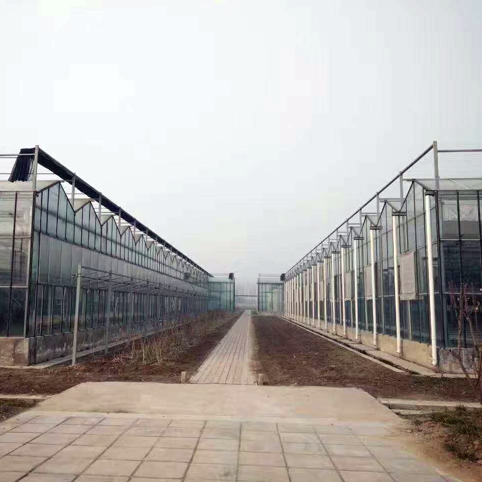 建造连体大棚 PC板温室大棚建设