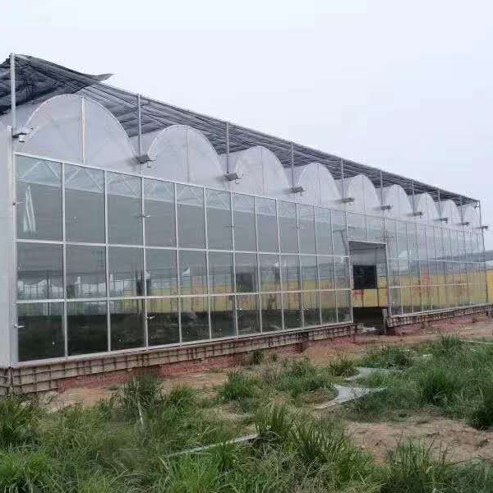 千汇温室承建玻璃温室 连栋温室造价