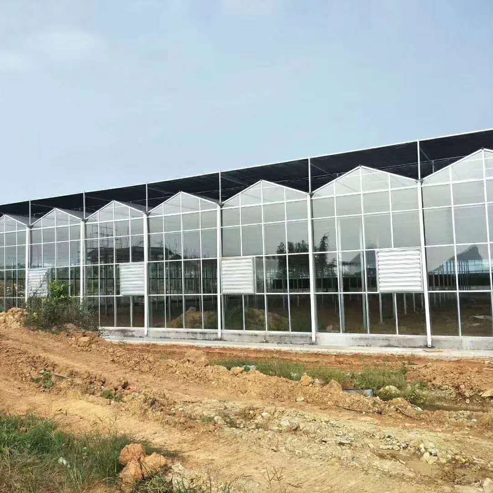 支持定做玻璃温室大棚 蔬菜温室大棚建造商
