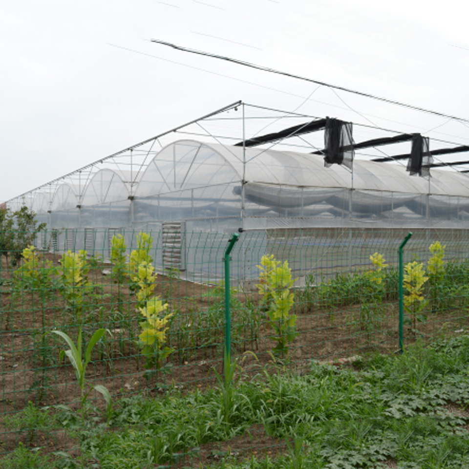 薄膜大棚材料 温室大棚_观光温室大棚价格