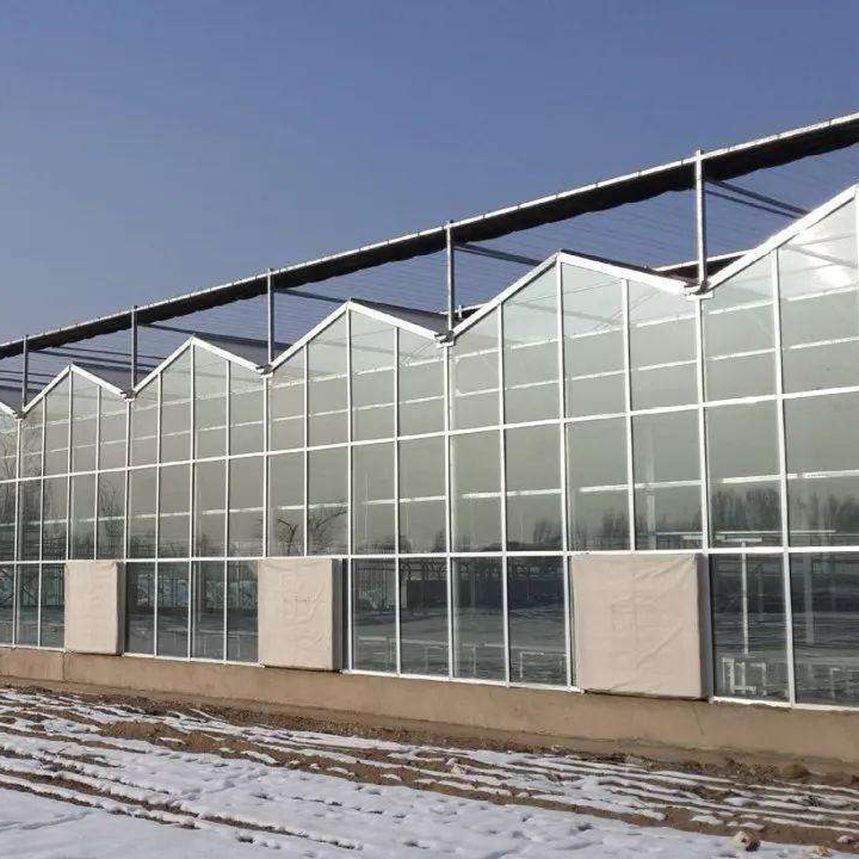 玻璃温室-连栋温室大棚承建商 玻璃温室大棚建设
