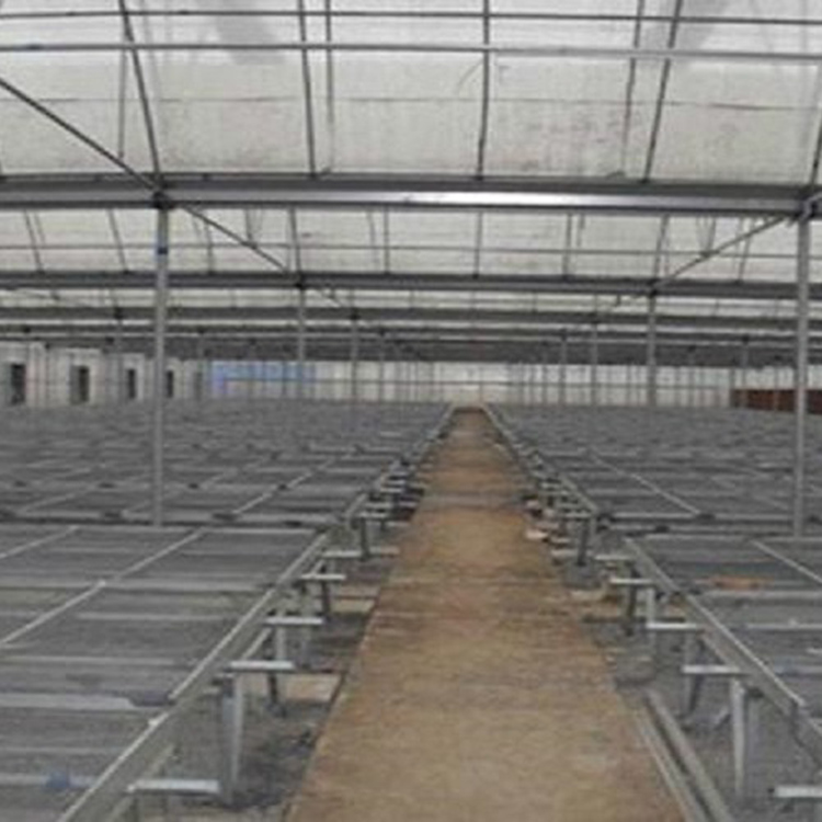 薄膜温室设计安装 连栋薄膜温室建造价格 支持定制