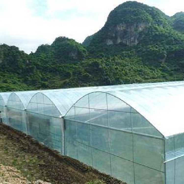 连栋薄膜大棚 连栋薄膜温室工程 阳凯温室工程建造