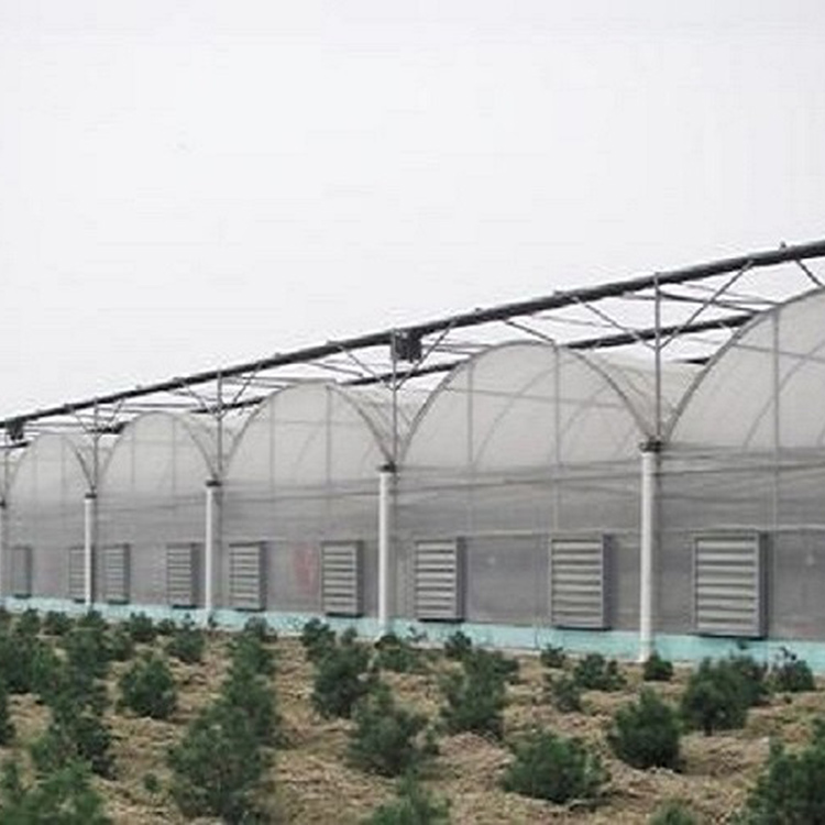 山东连栋薄膜温室 连栋薄膜温室承建 品质保障