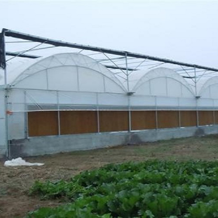 连栋薄膜温室大棚 薄膜温室工程 阳凯温室工程建造
