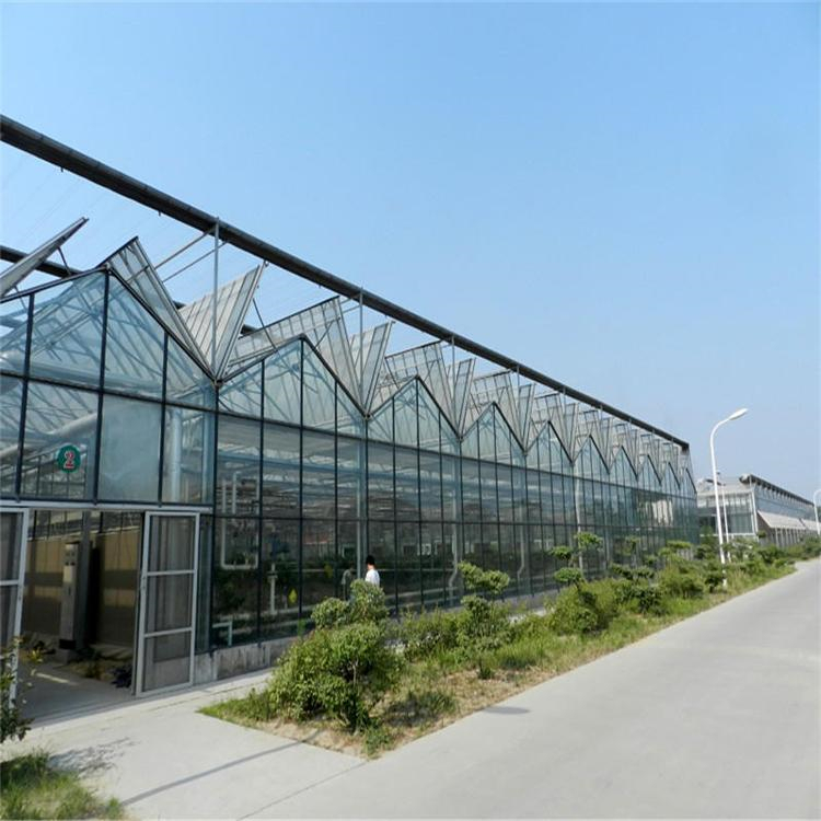 价格实在质量好 阳光板温室工程 阳光板温室承建商