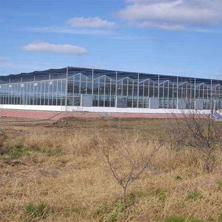 热镀锌钢管 玻璃温室大棚承接 玻璃温室建造商