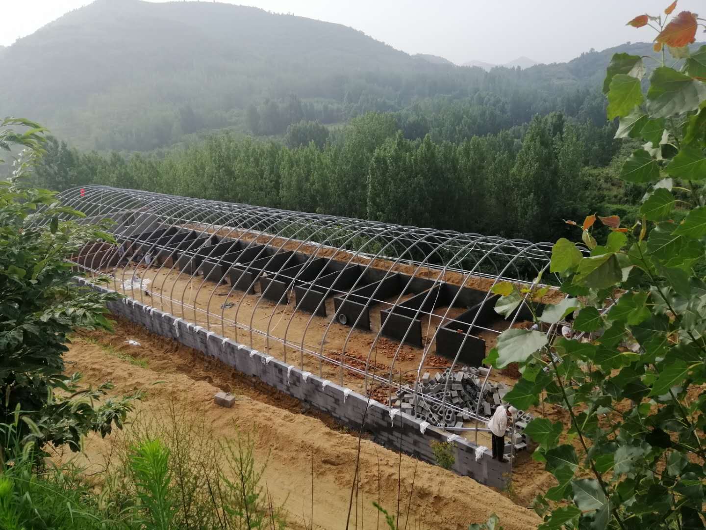 上门安装质量可靠的养猪养殖大棚