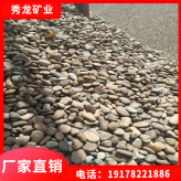 鹅卵石批发 园林石用料 天然鹅卵石普通鹅卵石