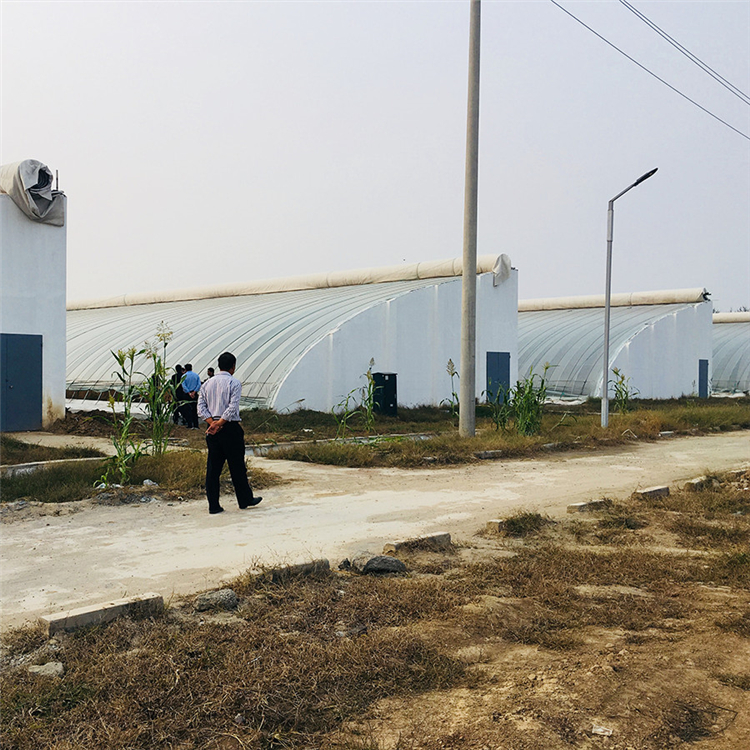 测量定制 eps模块 建别墅厂房好材料