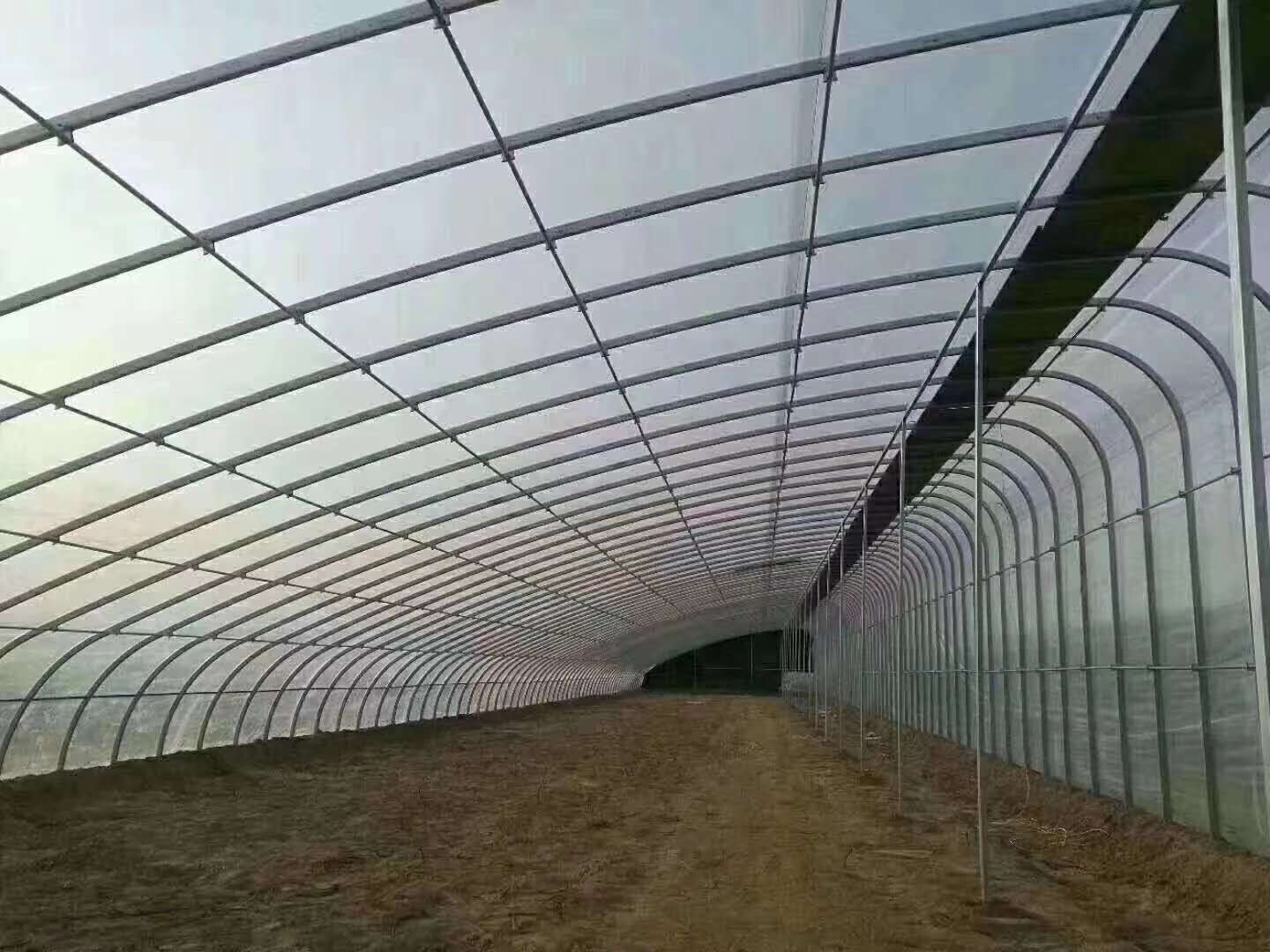 连栋薄膜温室 适合大部分蔬菜和花卉种植 推荐给农民使用