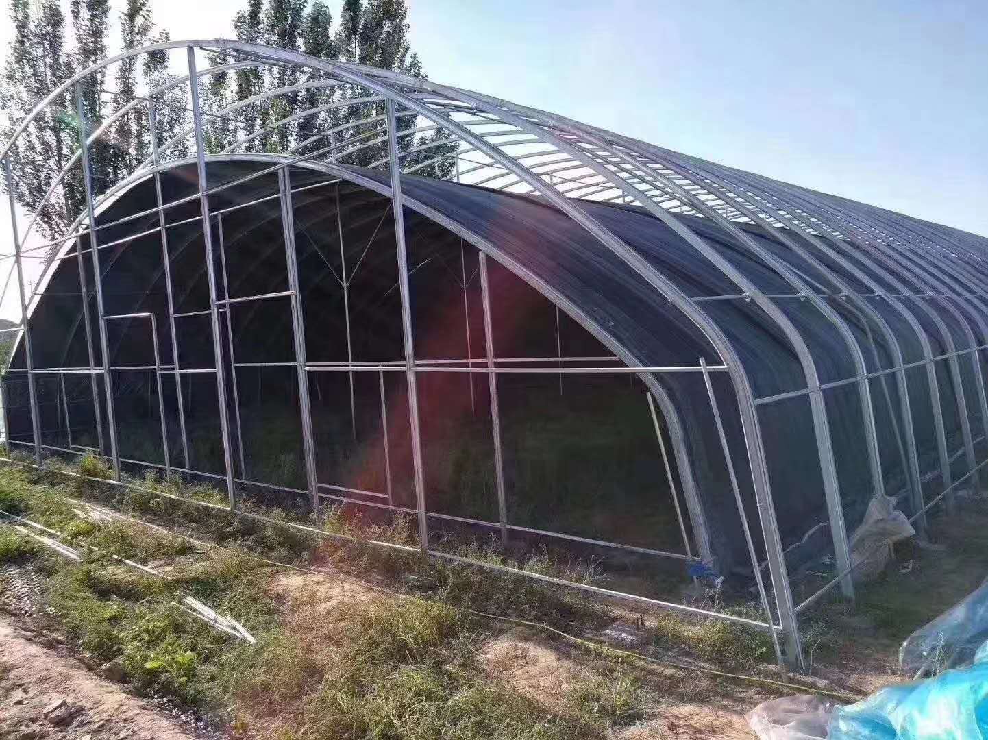 圆拱形玻璃温室 轻钢材质 标准款 定制款
