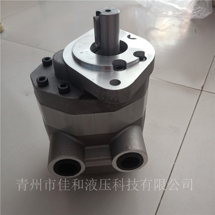 环卫车液压泵-双联泵供应-佳和液压
