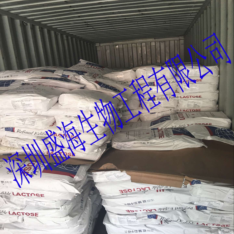 大量现货 乳糖 100/200目 食品级 厂家直销 地球/Leprino乳糖