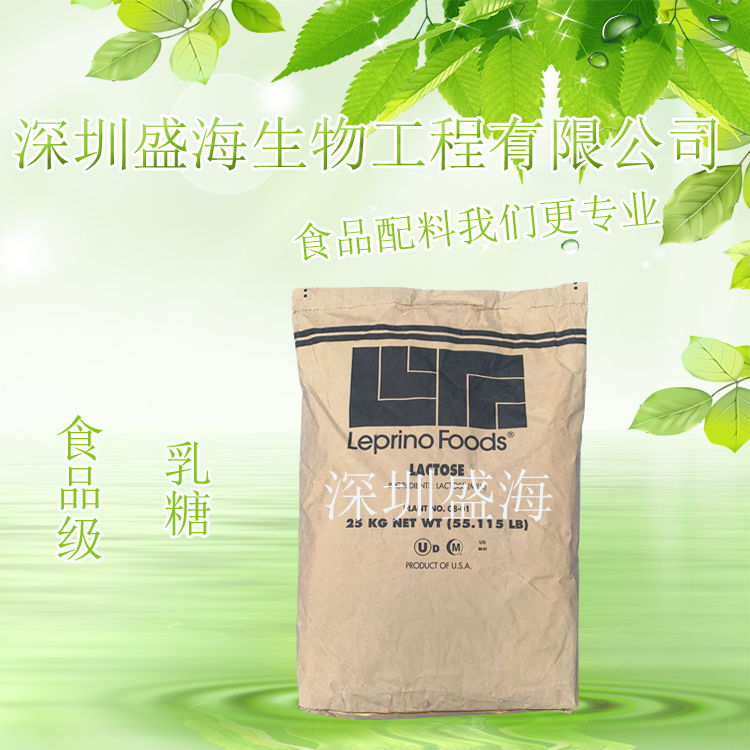 供应 地球乳糖 100/200目 食品级 批发零售 Leprino乳糖 量大优惠