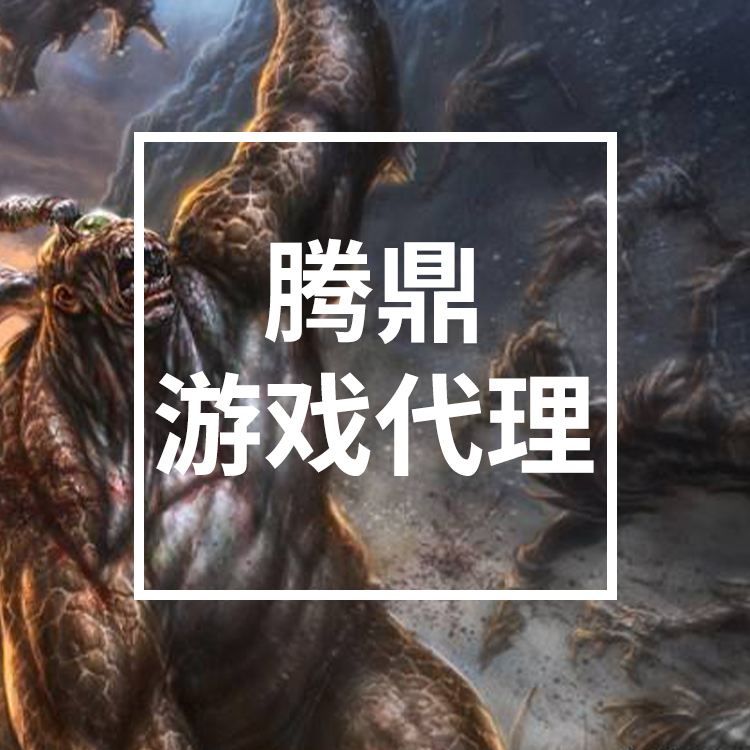 长沙游戏代理加盟 专人指导 技术后台 售后支持