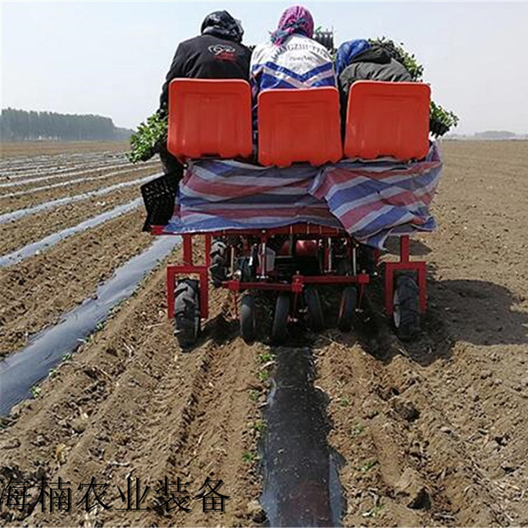 移栽机厂家 厂家推荐西兰花移栽机 山东西兰花移栽机