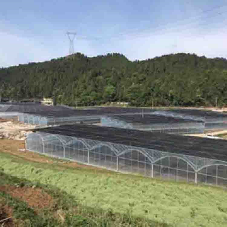 连栋温室大棚 设计安装 连栋温室承建公司