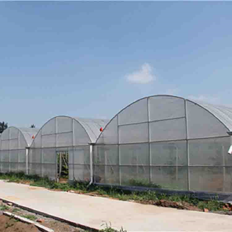 连栋薄膜温室造价 智能连栋薄膜大棚 蔬菜连栋连体温室工程