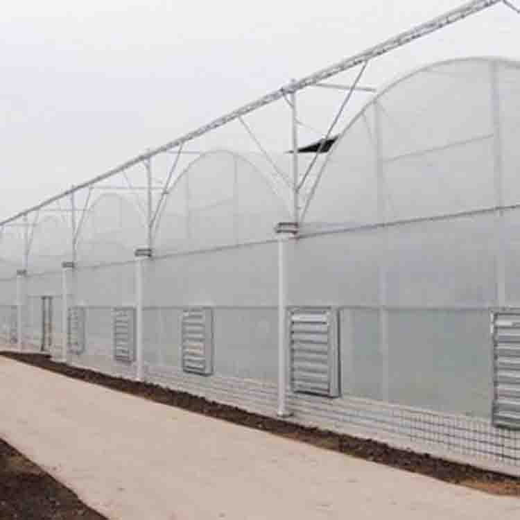 薄膜连栋温室 欢迎致电询价 连栋温室建造