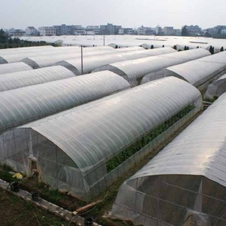 河北薄膜温室价格 薄膜温室大棚-承接河北薄膜温室价格