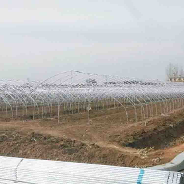 薄膜连栋温室 支持定制 连栋温室承建公司