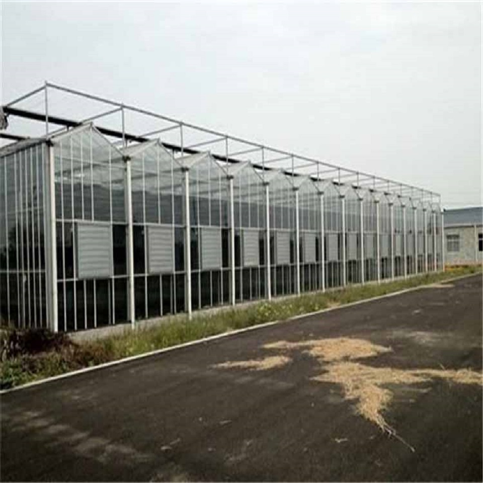 玻璃智能温室 温室大棚造价 蔬菜玻璃温室