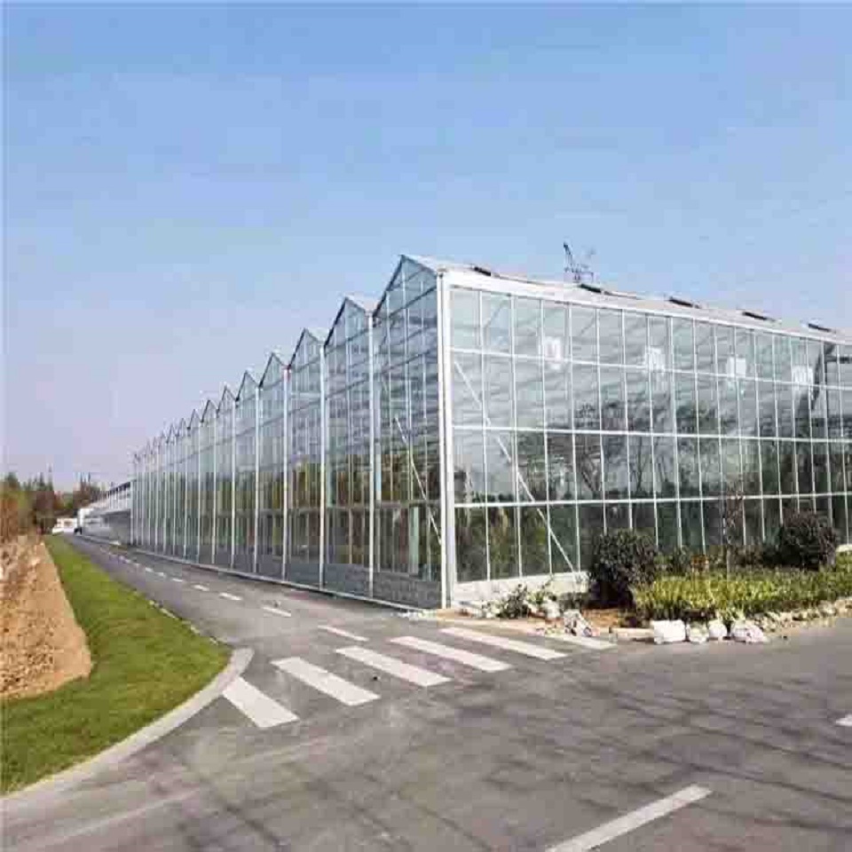 玻璃房温室 智能玻璃温室大棚设计 玻璃温室建设