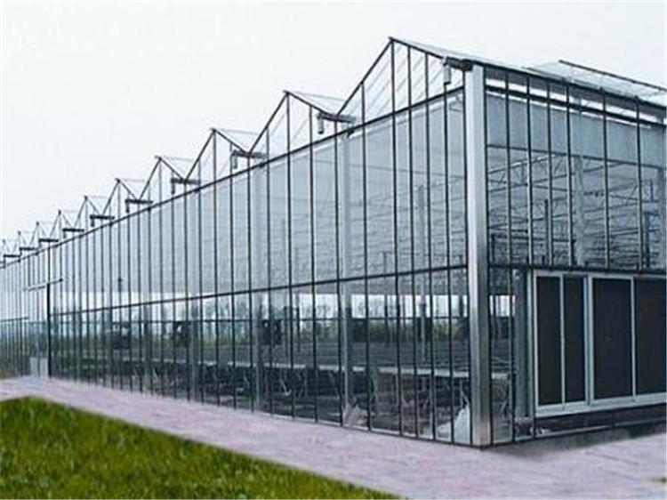 阳光板温室造价 阳光板大棚承建